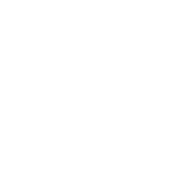 Logo Nova_Blanco